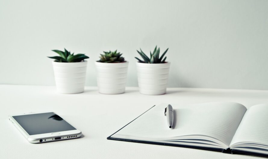 Buying a Shelf Corporation in Germany with PayPal Account Guide